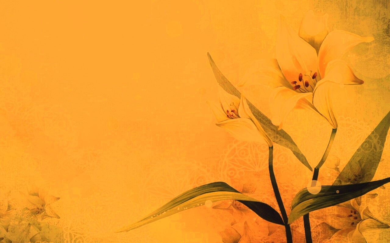 Красивое изображение лилии обои