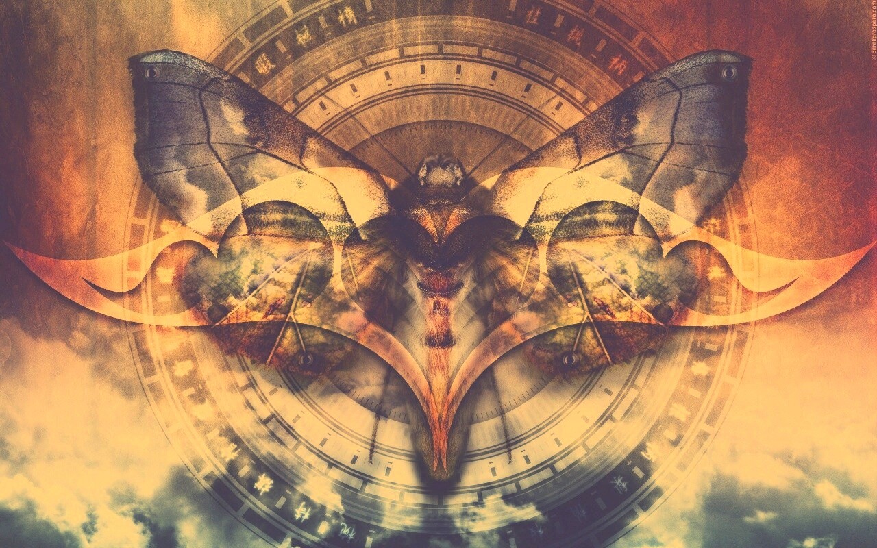 Красивая фэнтезийная бабочка обои