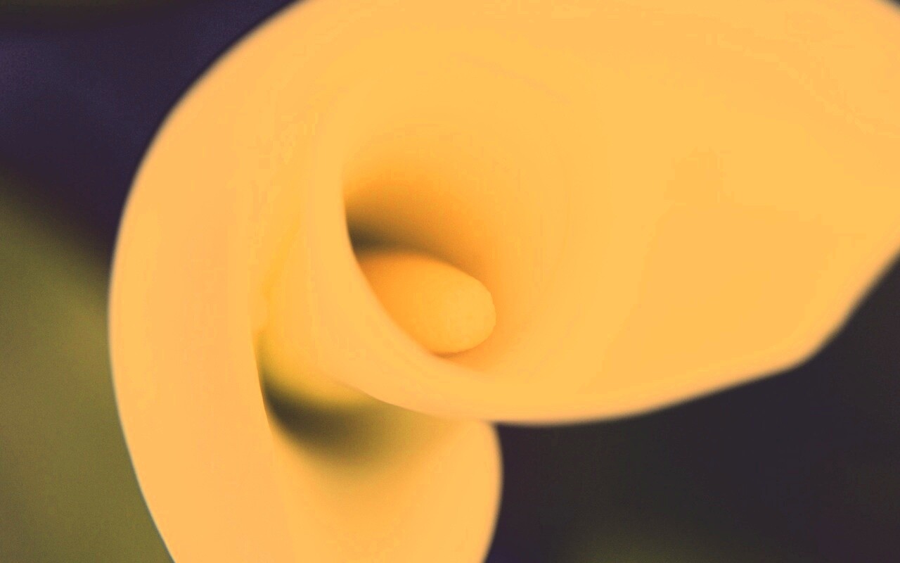 Спираль обои