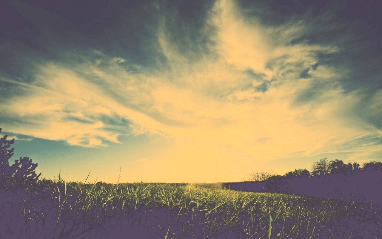 Травяной закат обои