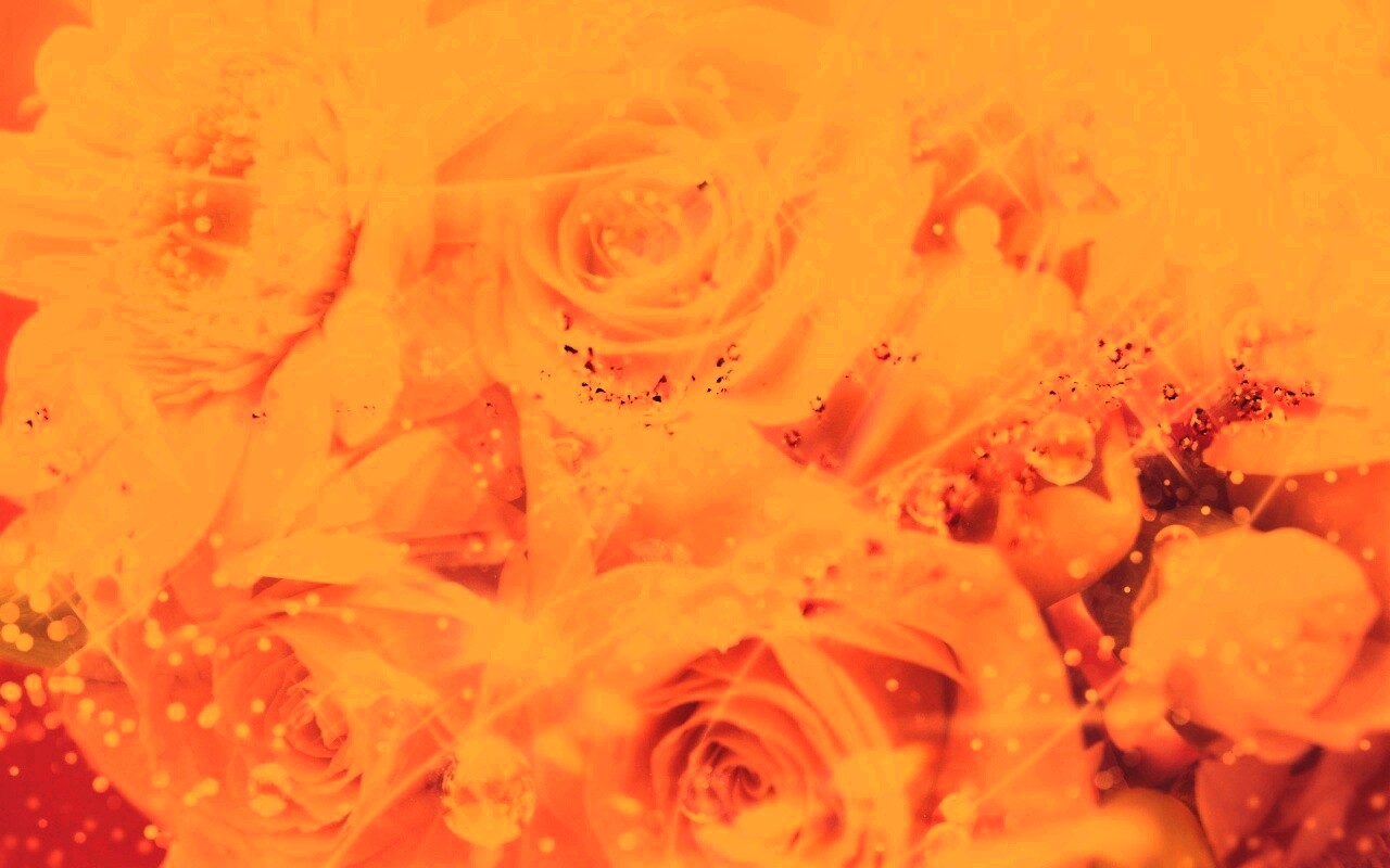 Розово-розовая абстракция с цветами обои