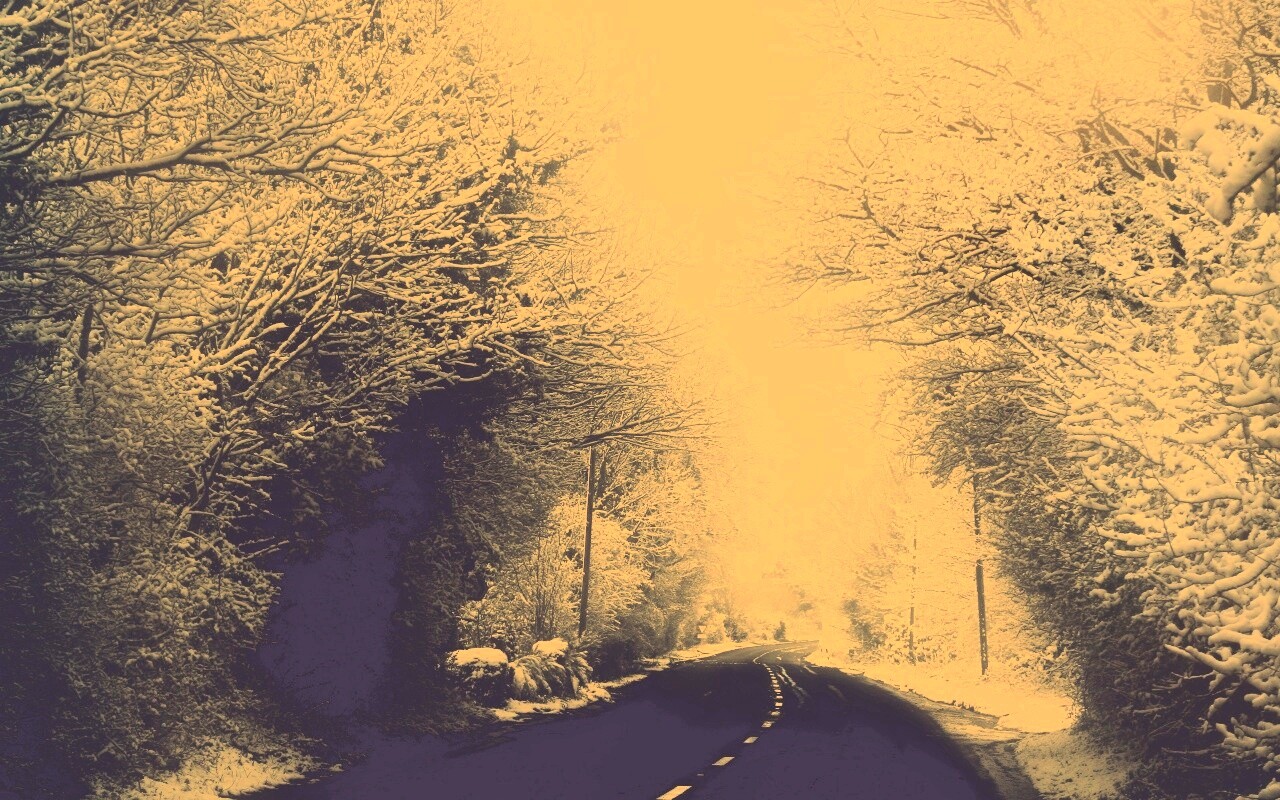 Дорога через зимний лес обои