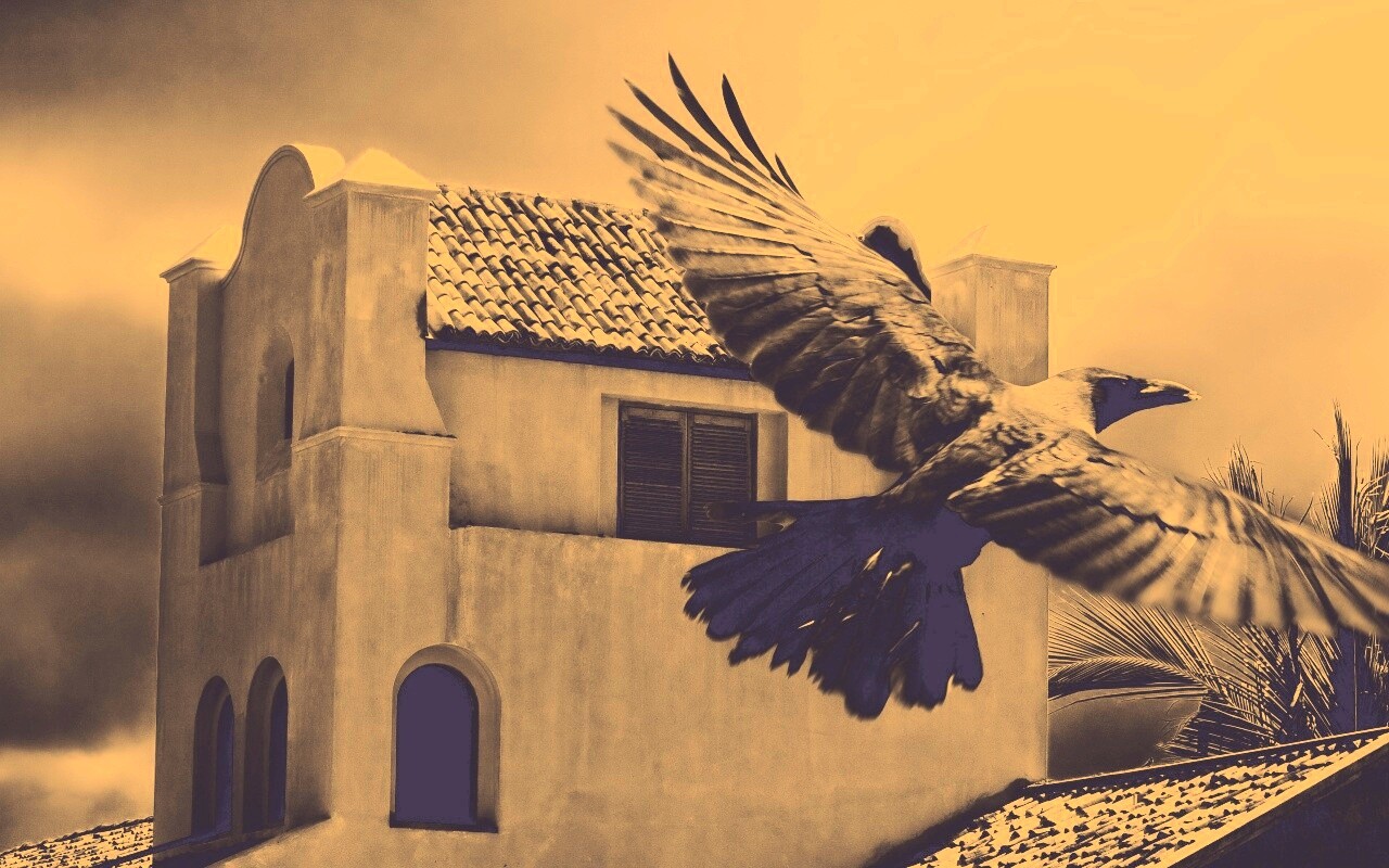 Полёт ворона обои