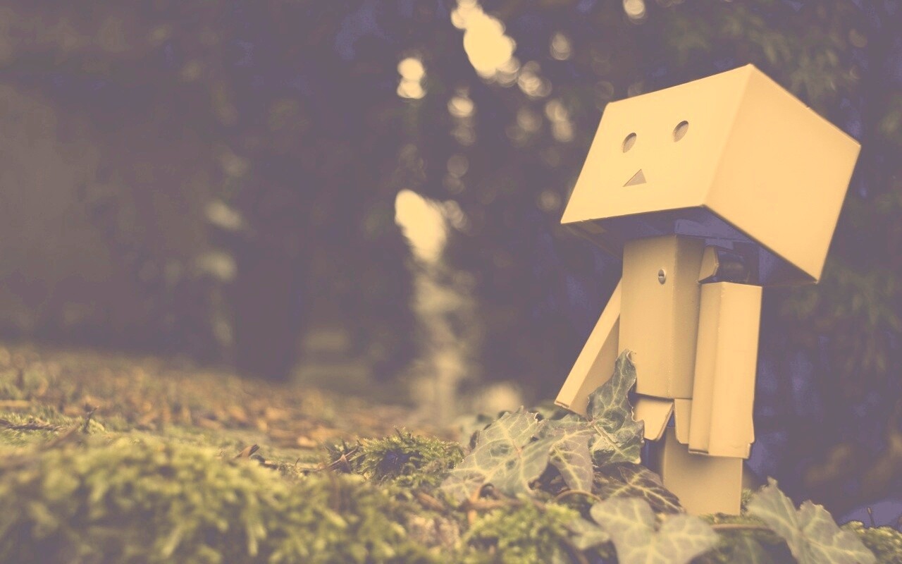 Danbo смотрит вверх обои