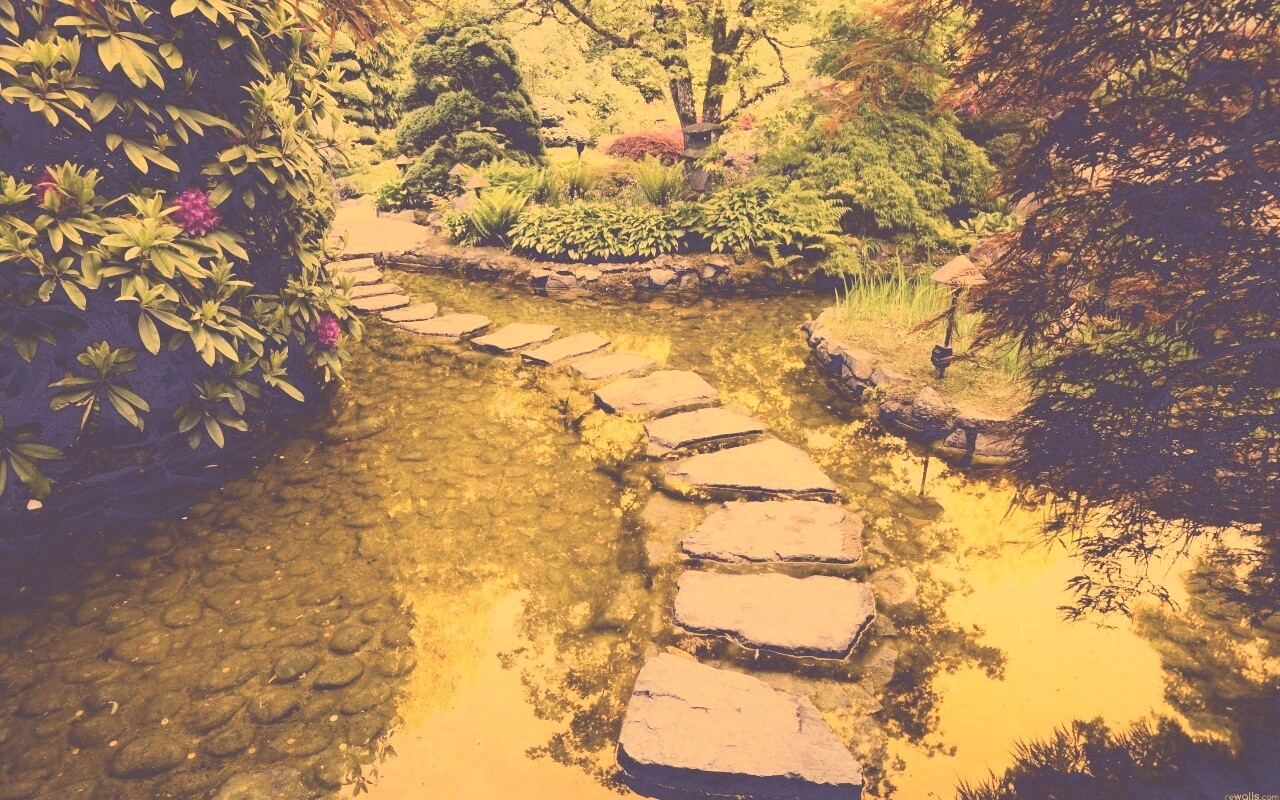 Дорожка через пруд обои