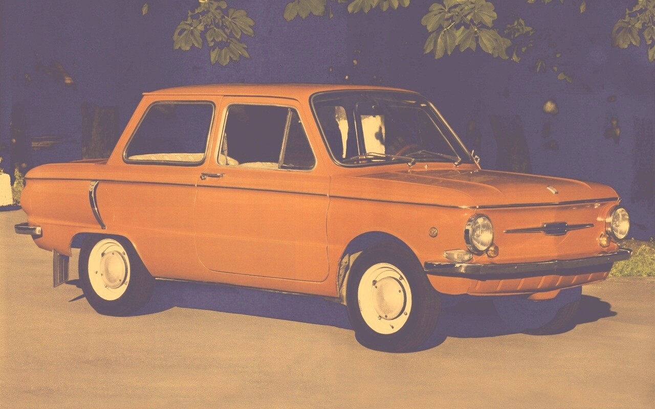 Оранжевый ушастый запорожец обои