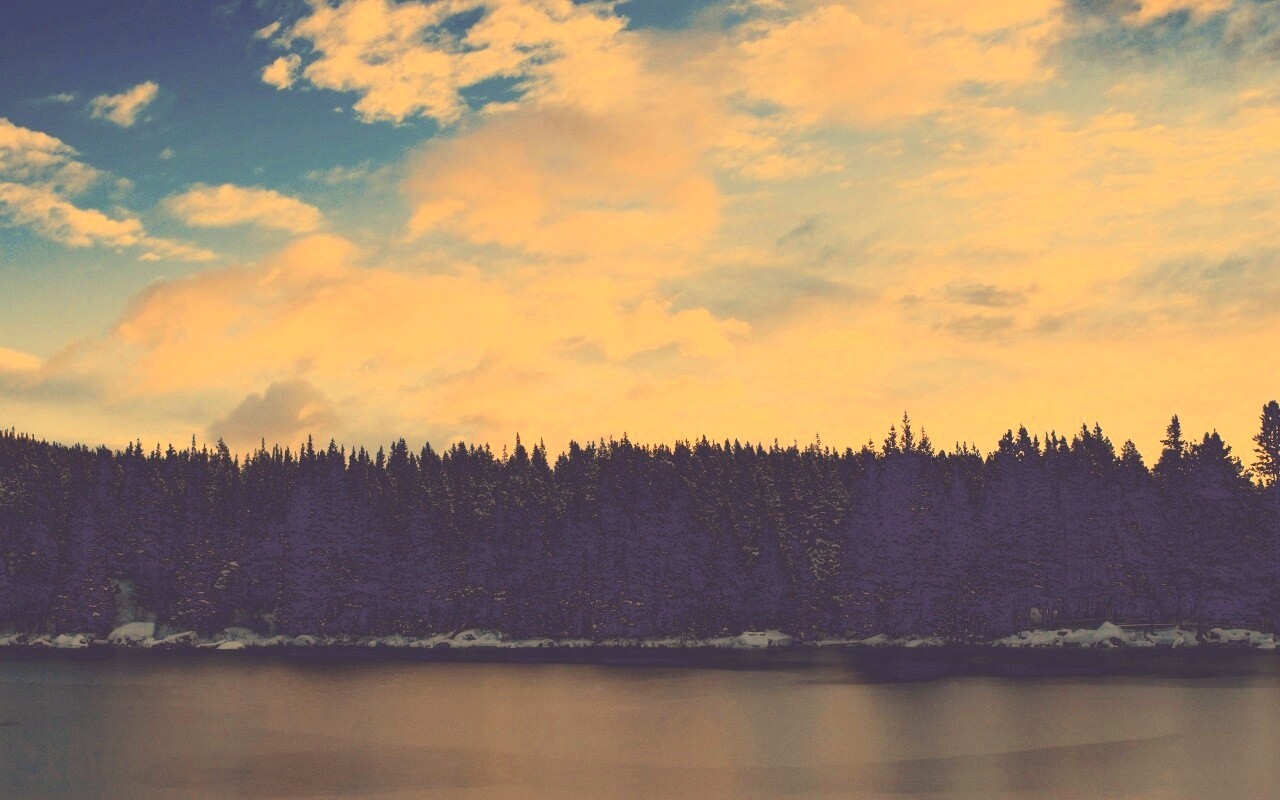 Лес на озере обои