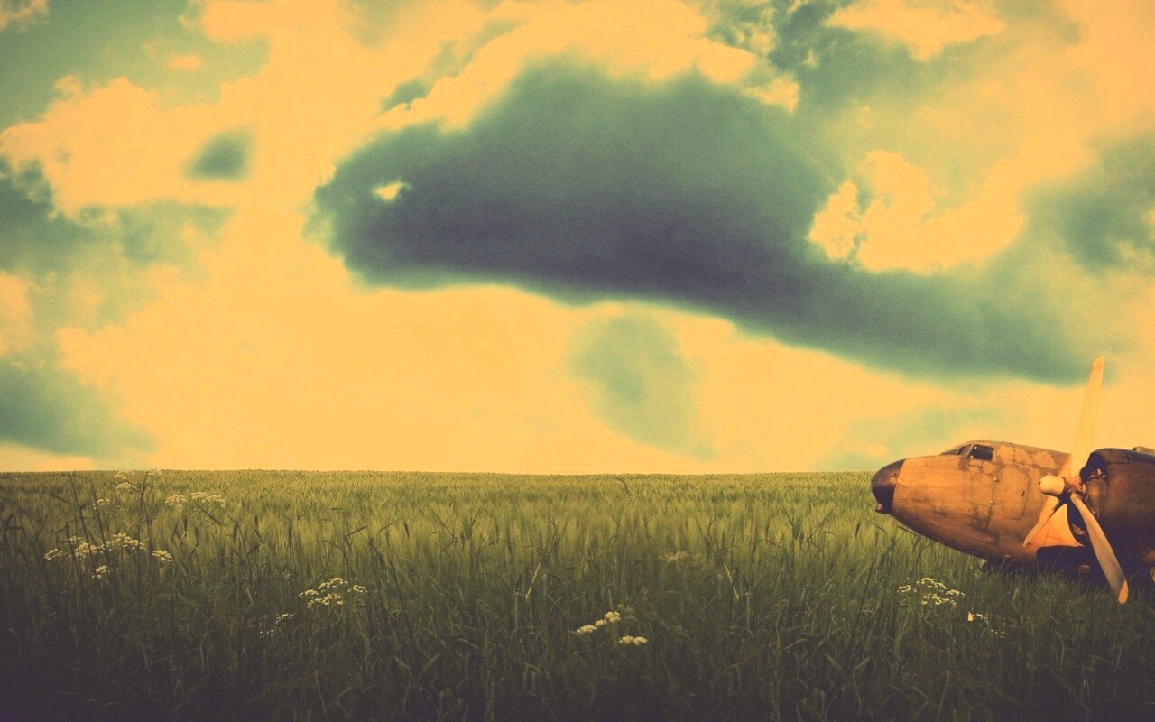 Старый ржавый самолет на лугу обои