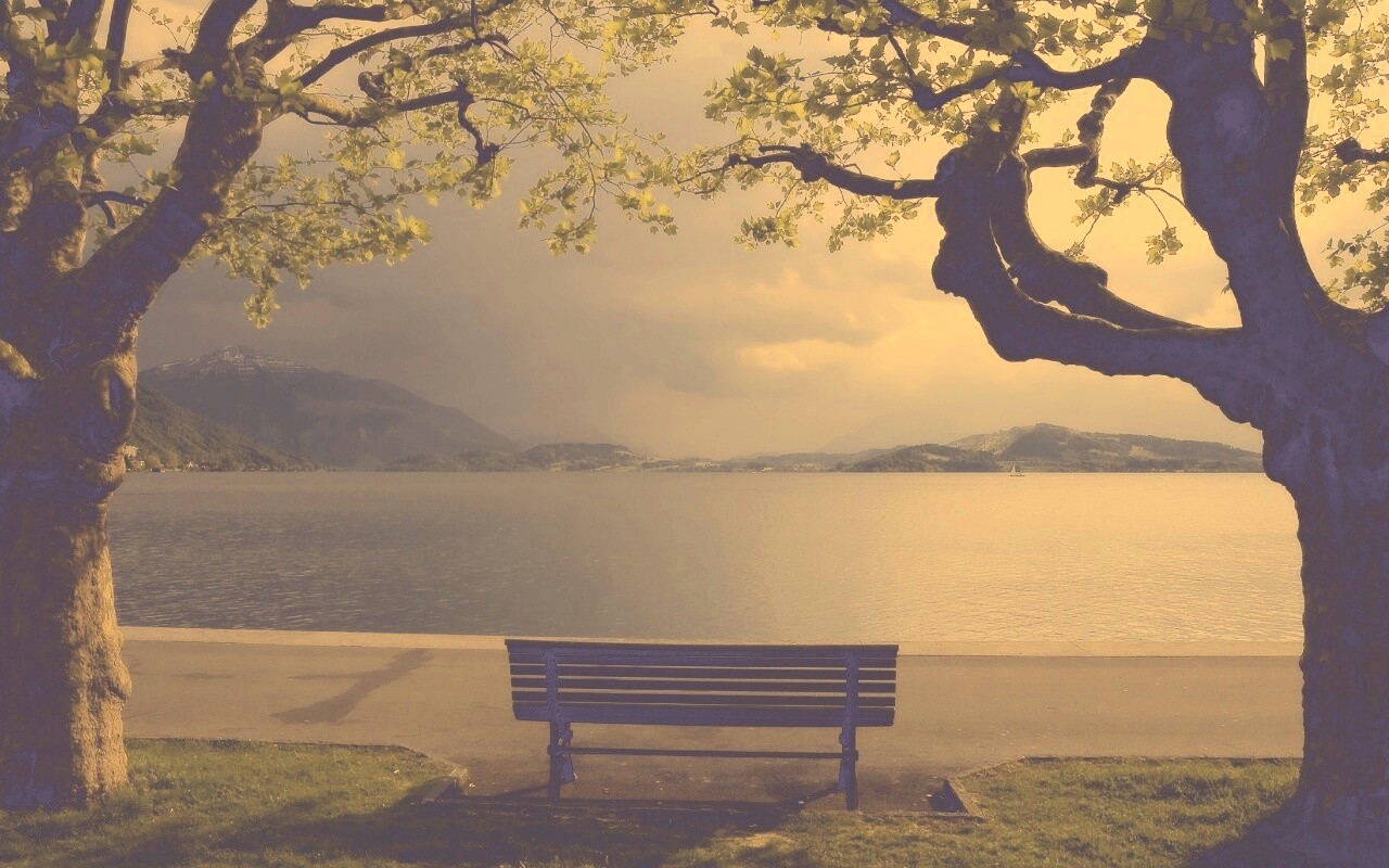 Скамейка на берегу обои