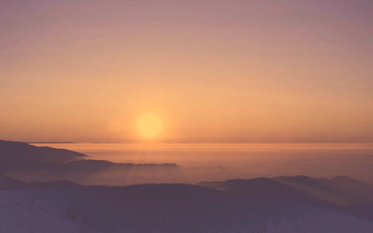 Восход солнца над лесом обои