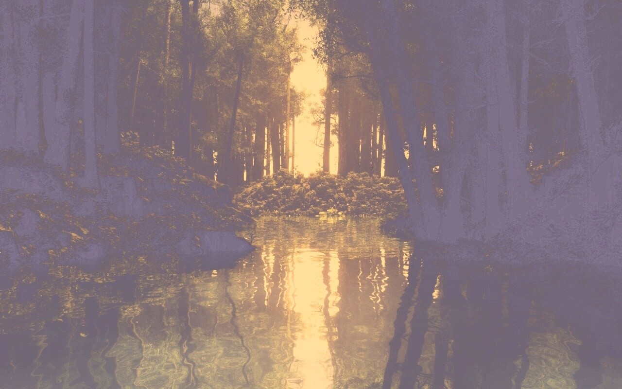 Болото в лесу обои