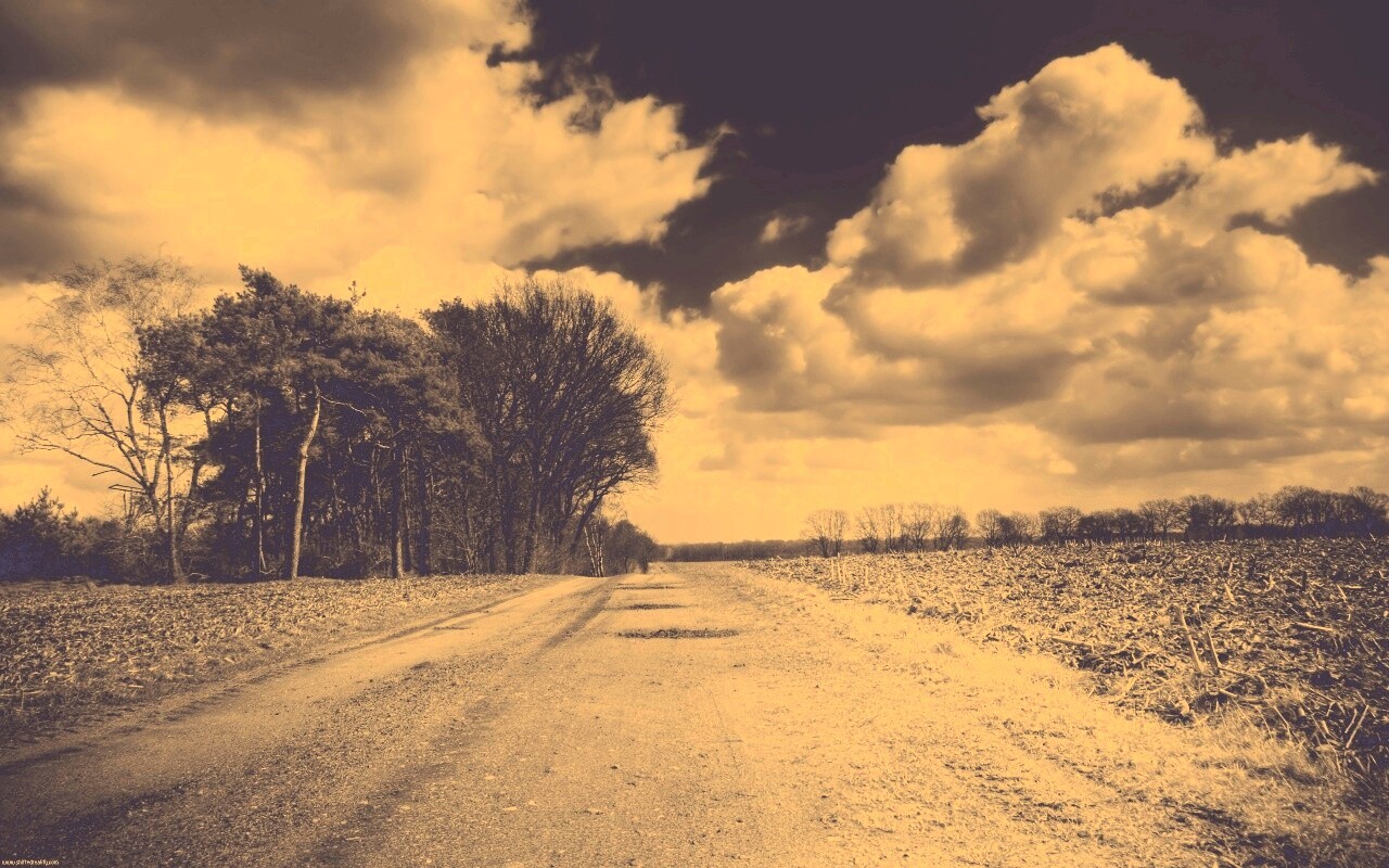 Дорога через поле обои