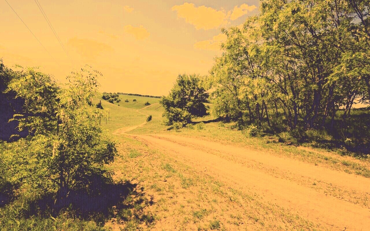 Просёлочная дорога обои