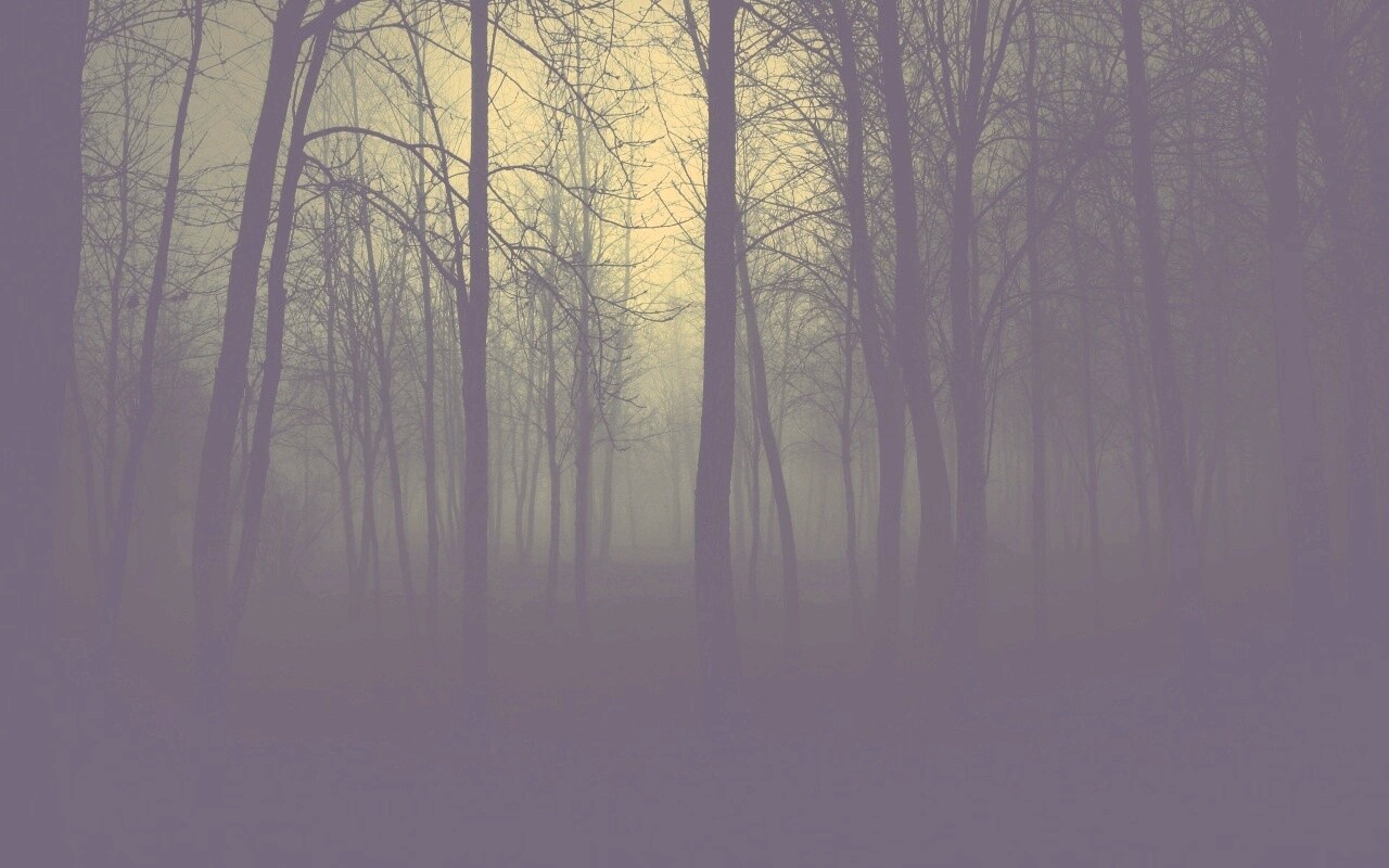 Страшный туманный лес обои