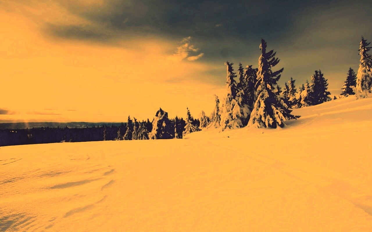 Зимние просторы обои