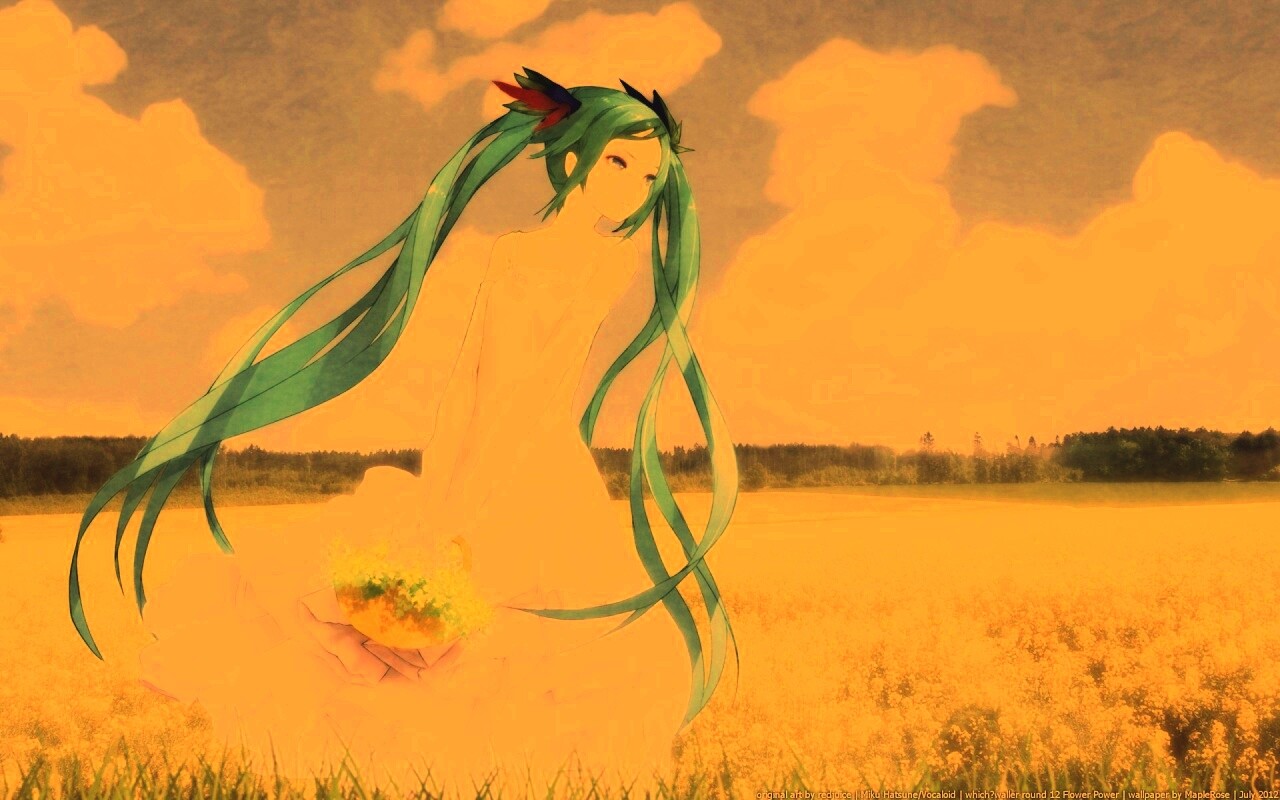 Хатсуне в поле обои