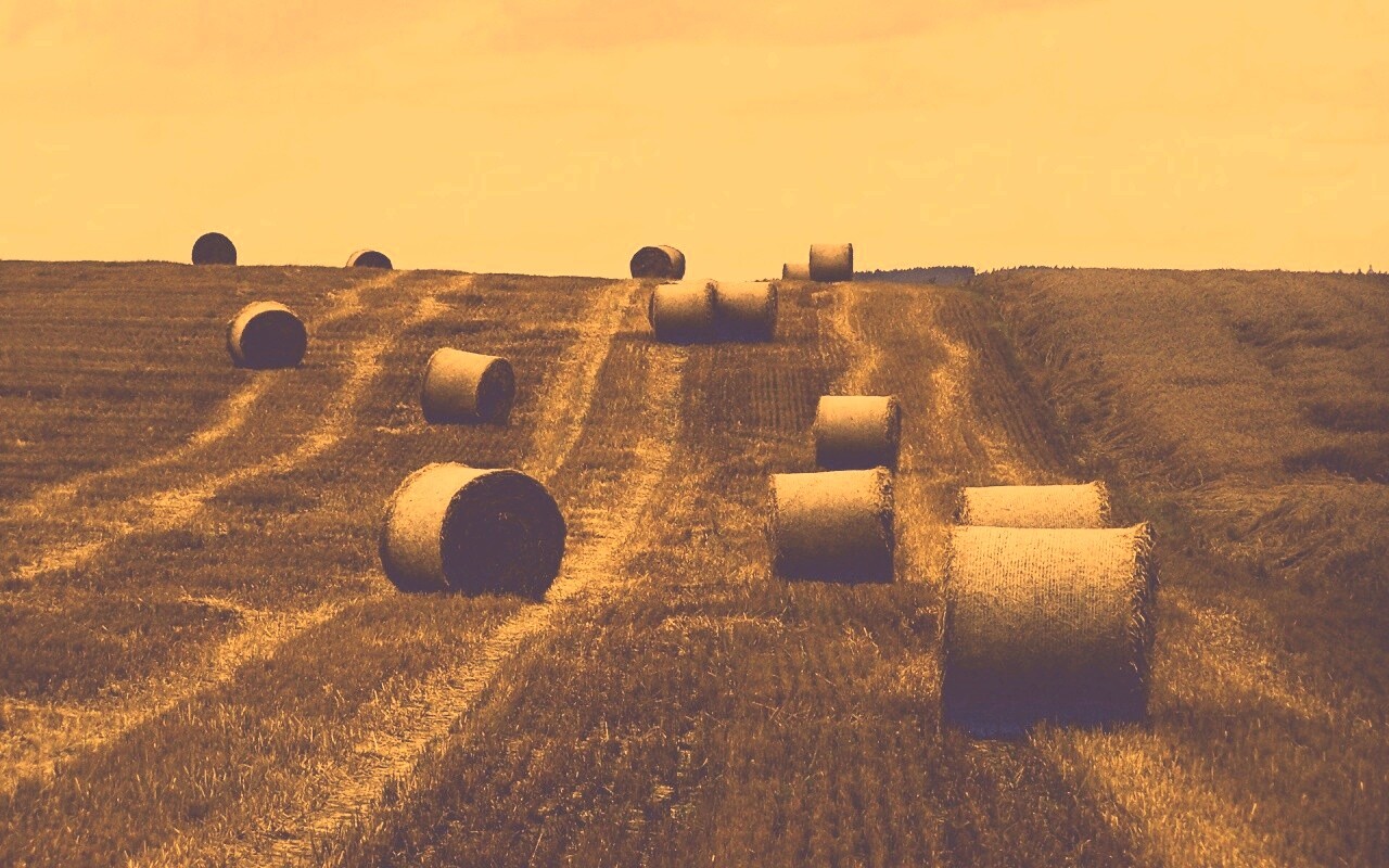Уборка сена с поля обои