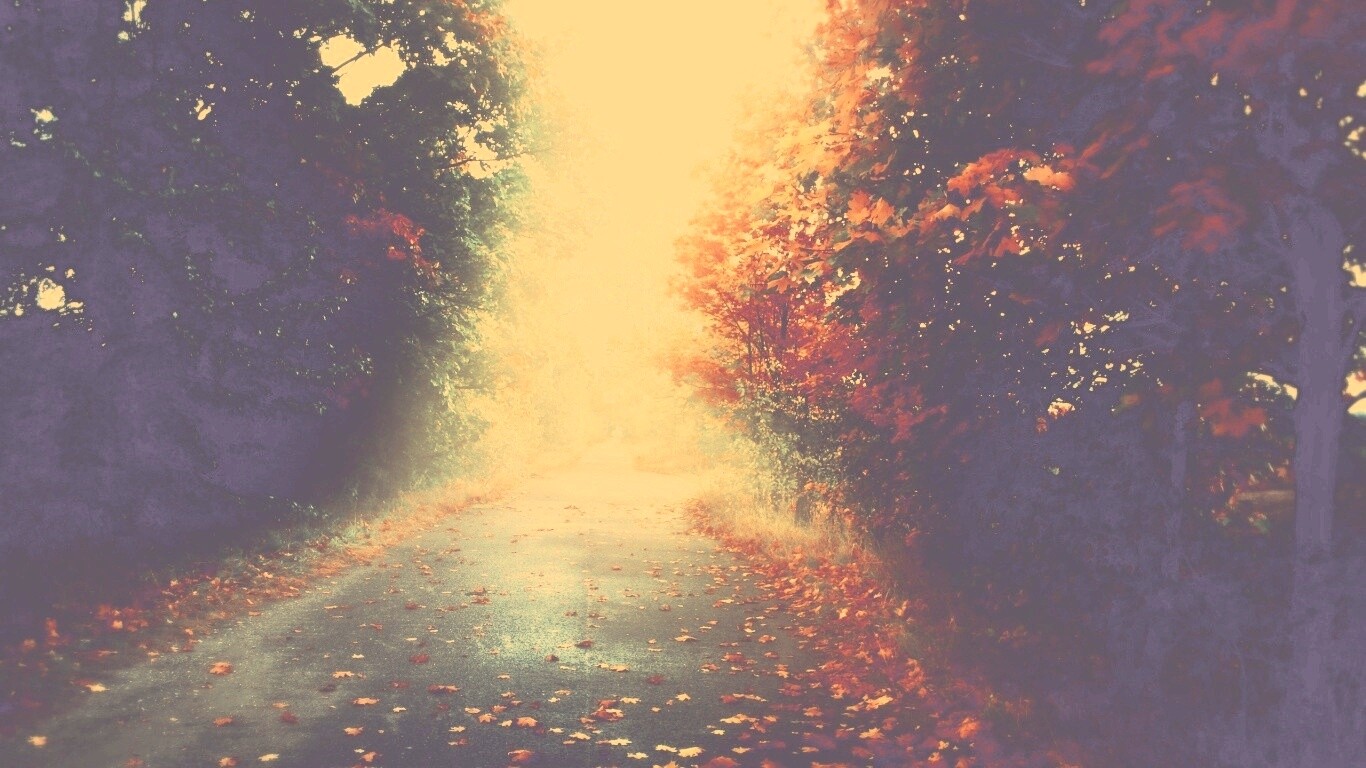 Желтая дорога обои