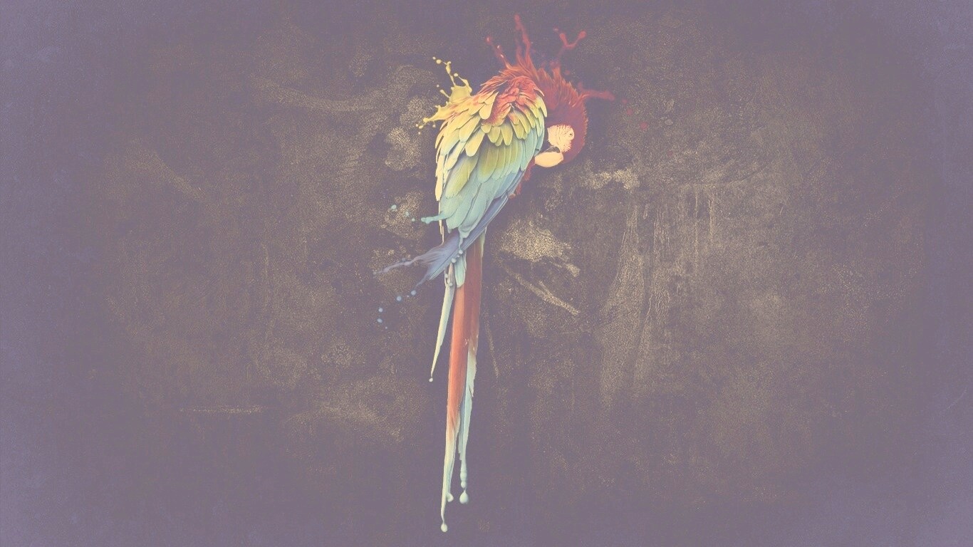 Попугай обои