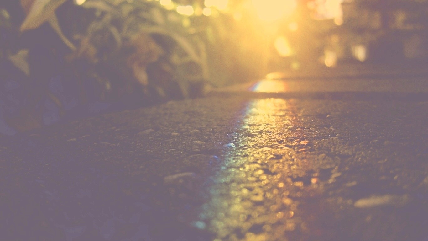 Макро радуга на камне обои