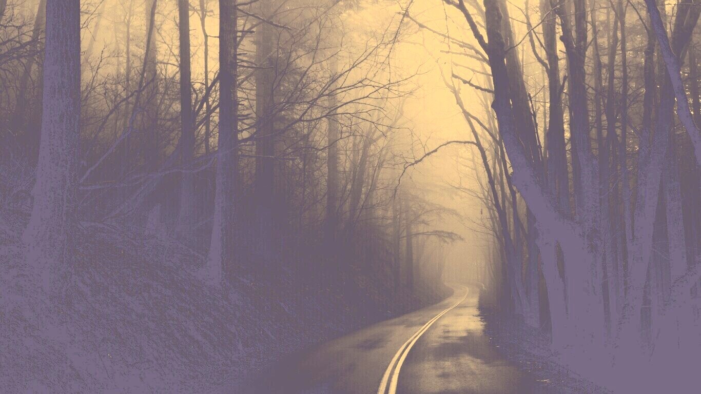 В туман обои