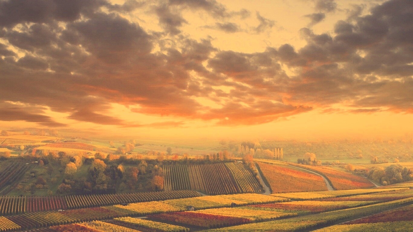 Обработанные земли в пригороде обои