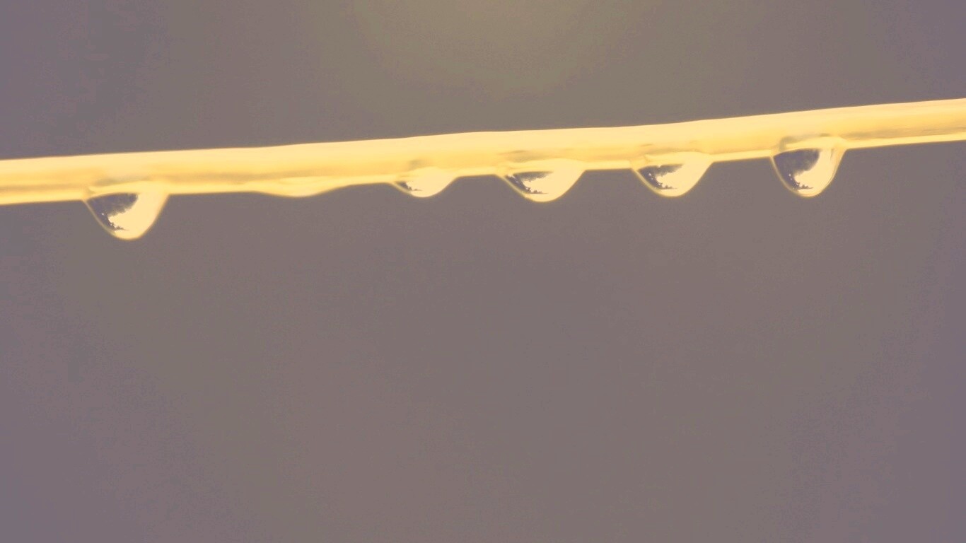 Капли на соломинке обои