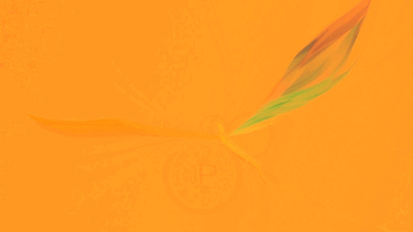 Силуэт птицы обои