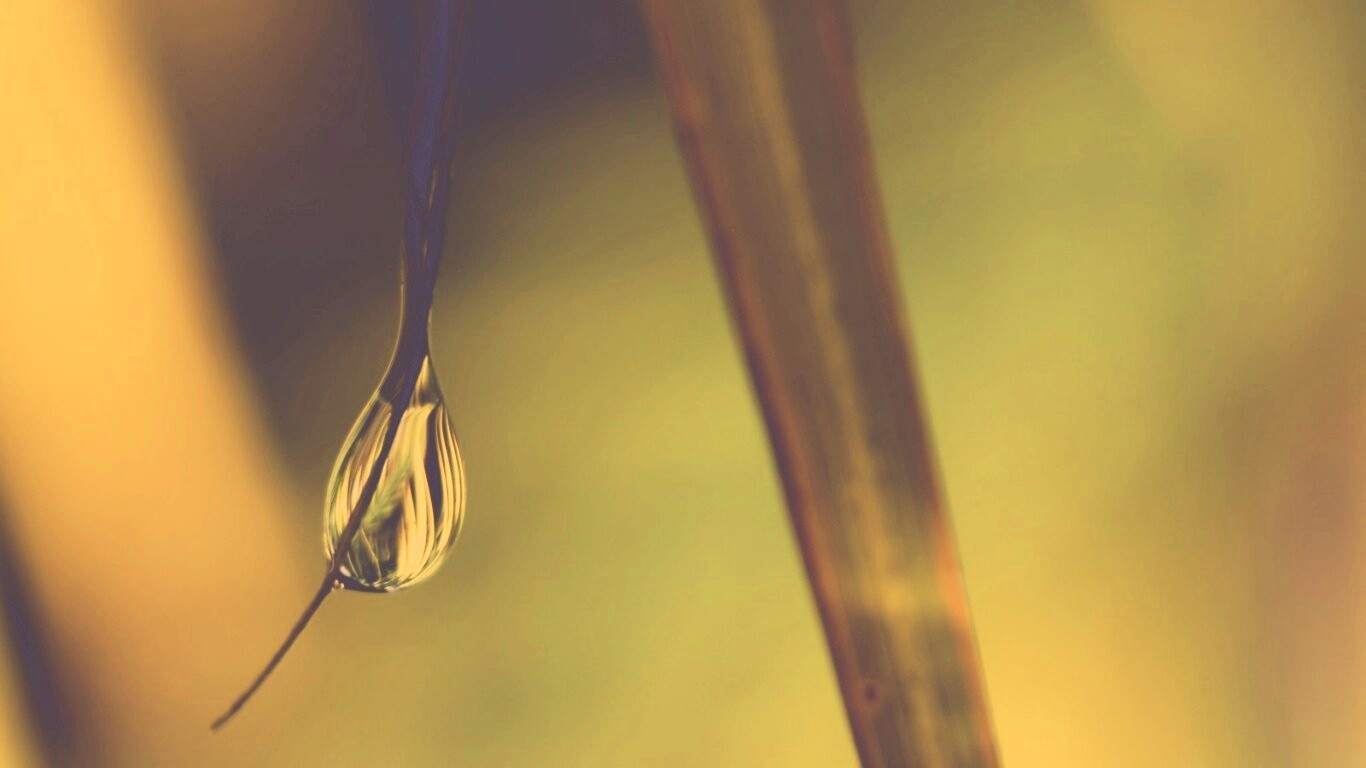Стекающая капля обои
