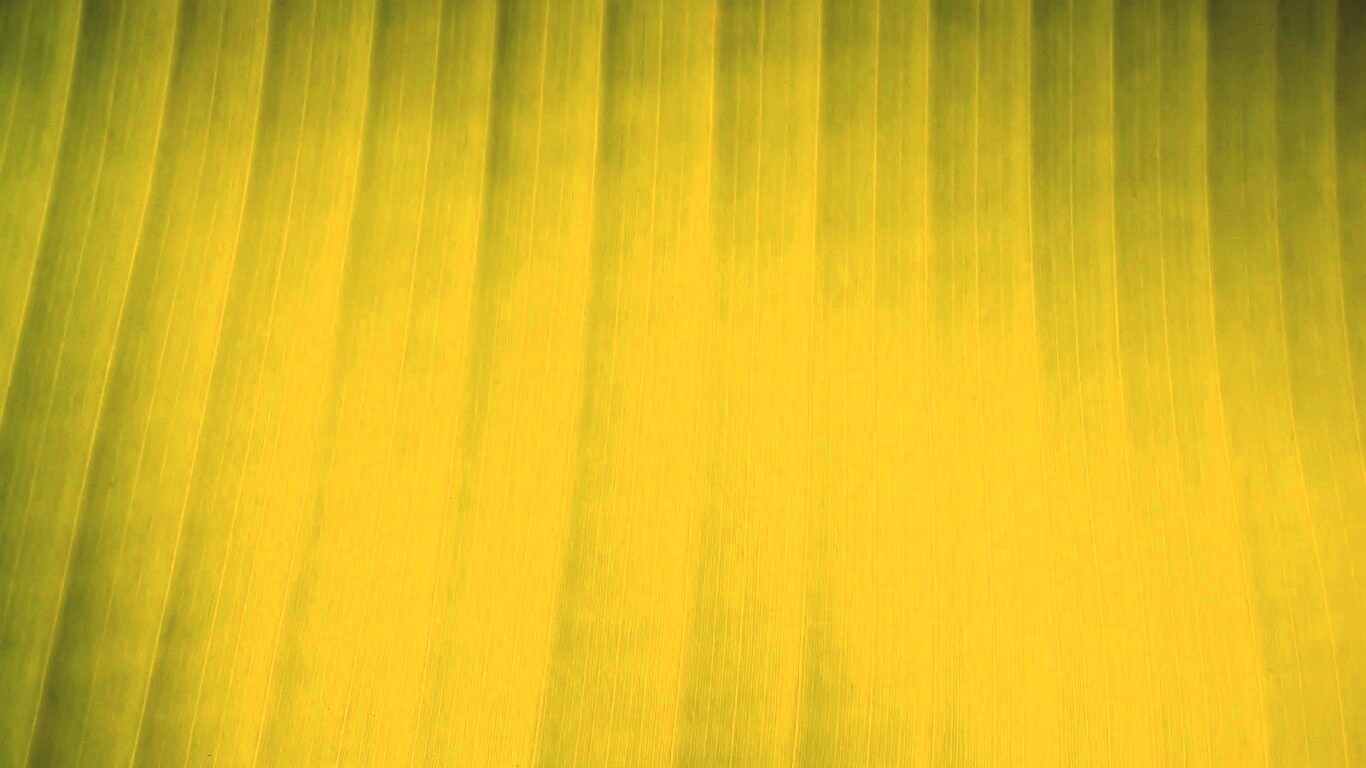 Травяные полосы обои