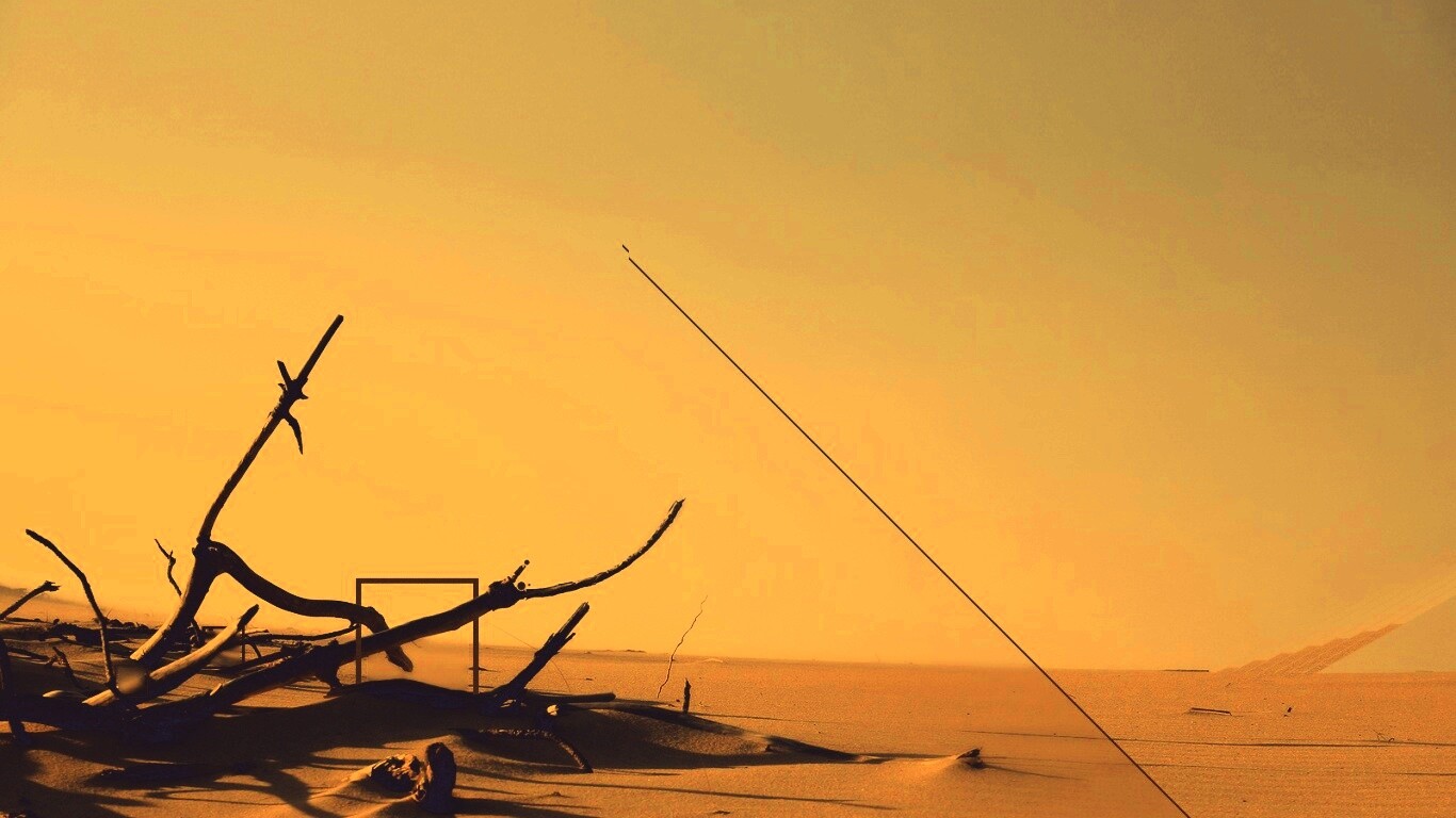 Сухостой в песках обои