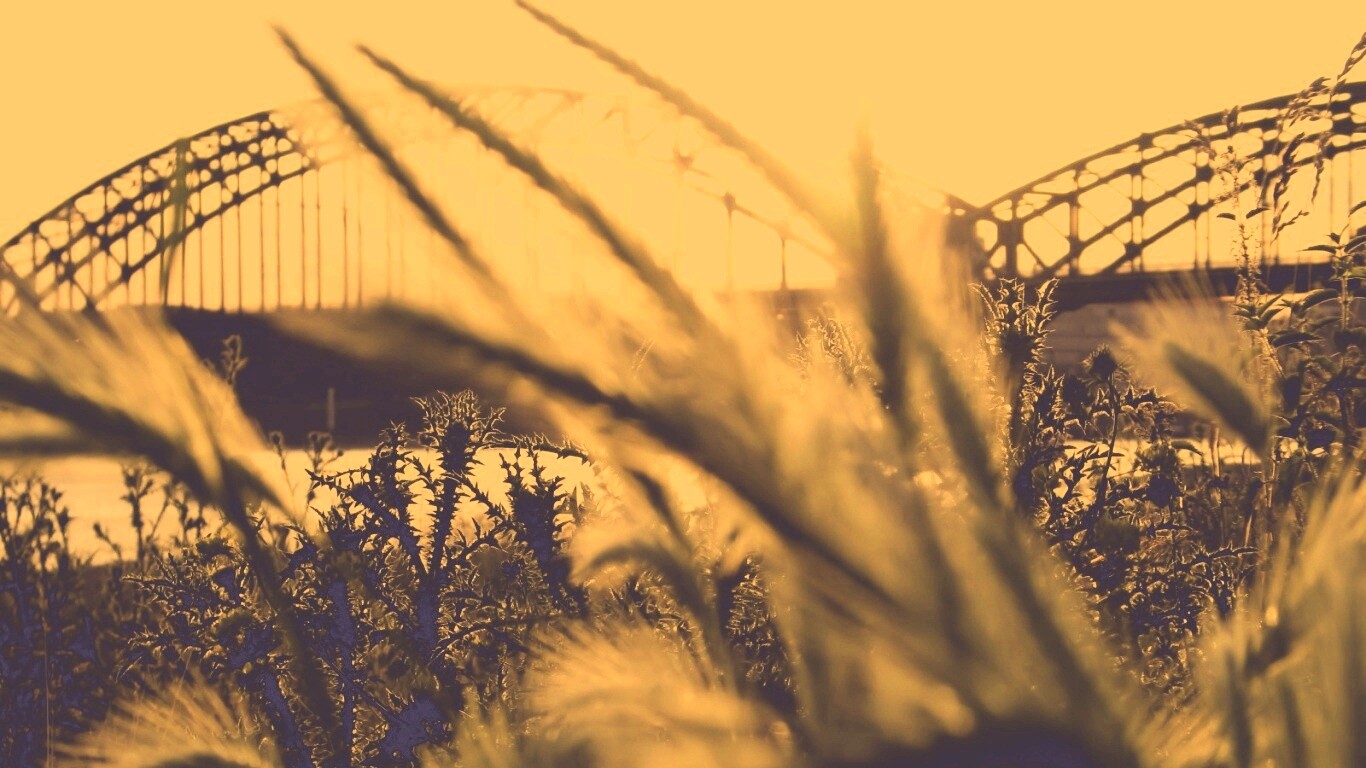 Железнодорожный мост обои