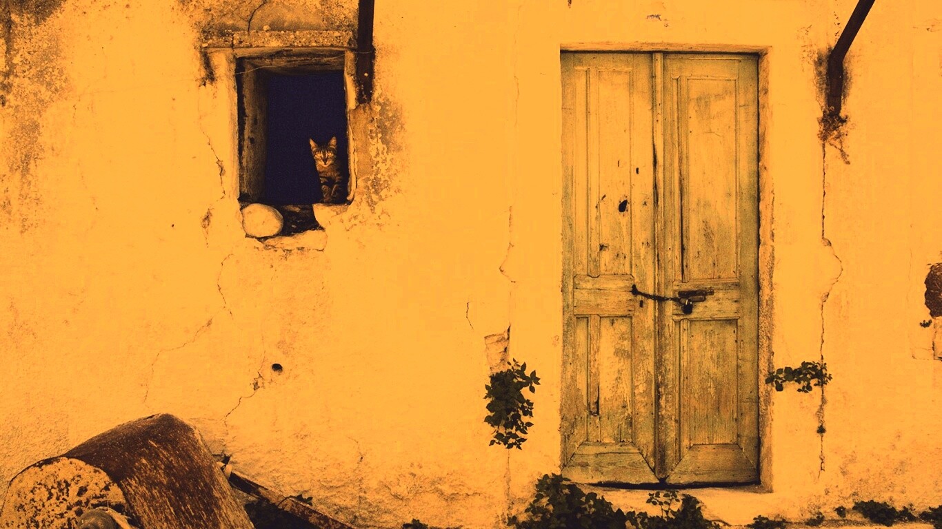 Кот выглядывает из разрушенного дома обои