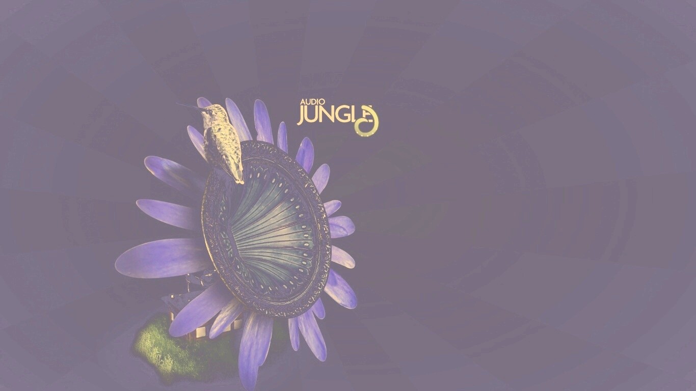 Звуки джунглей обои