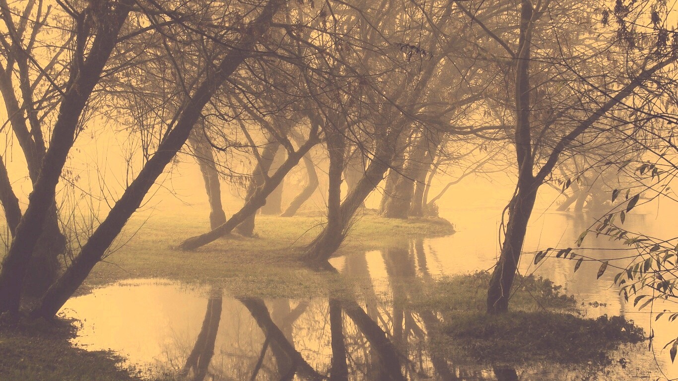 Затопленный парк обои