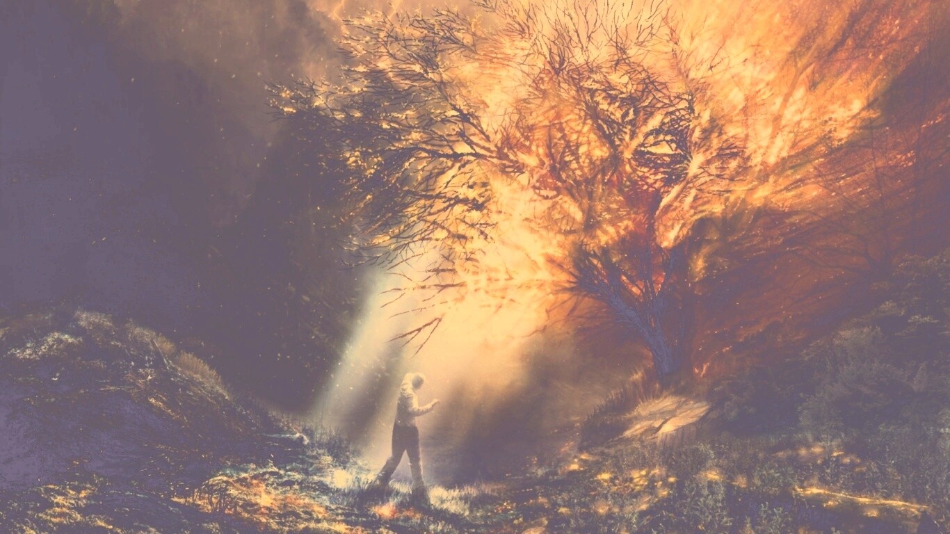 Горящее дерево обои