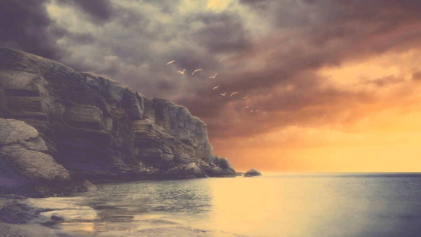 Чайки над скалами обои