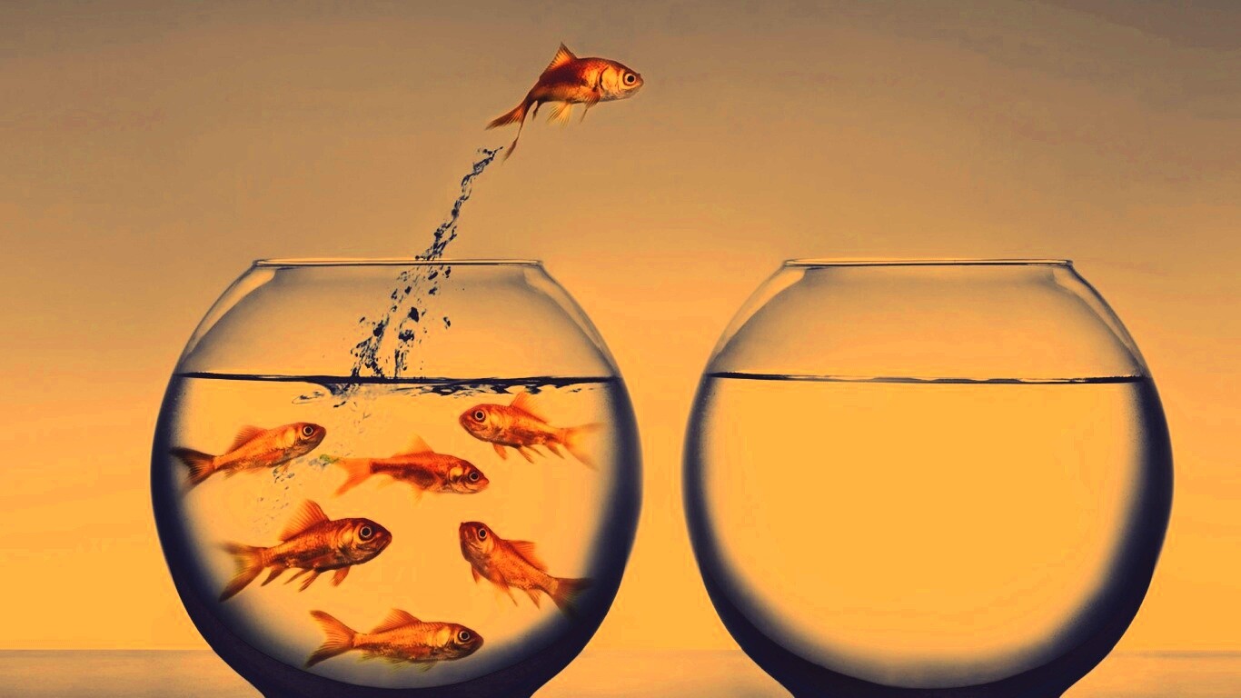 Побег рыбки обои