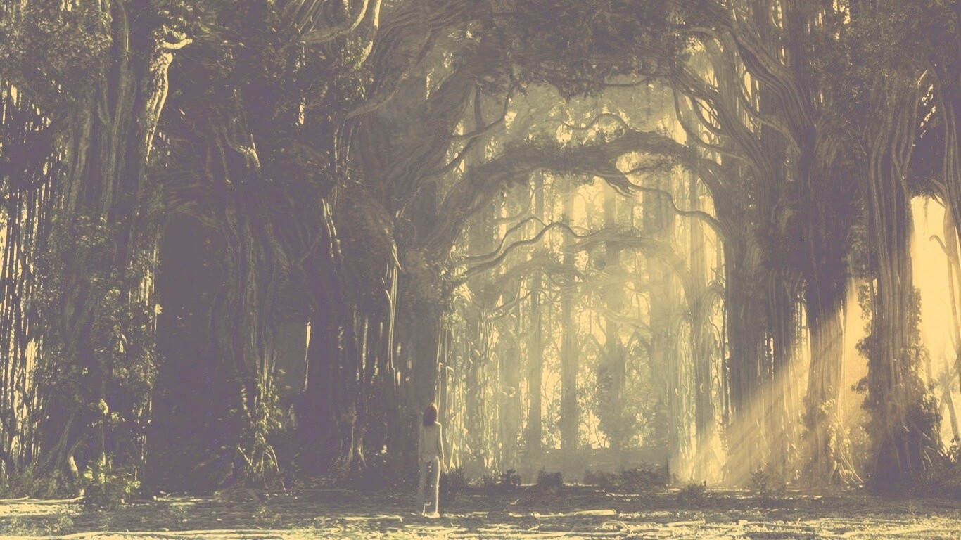 Одна в сумеречном лесу обои