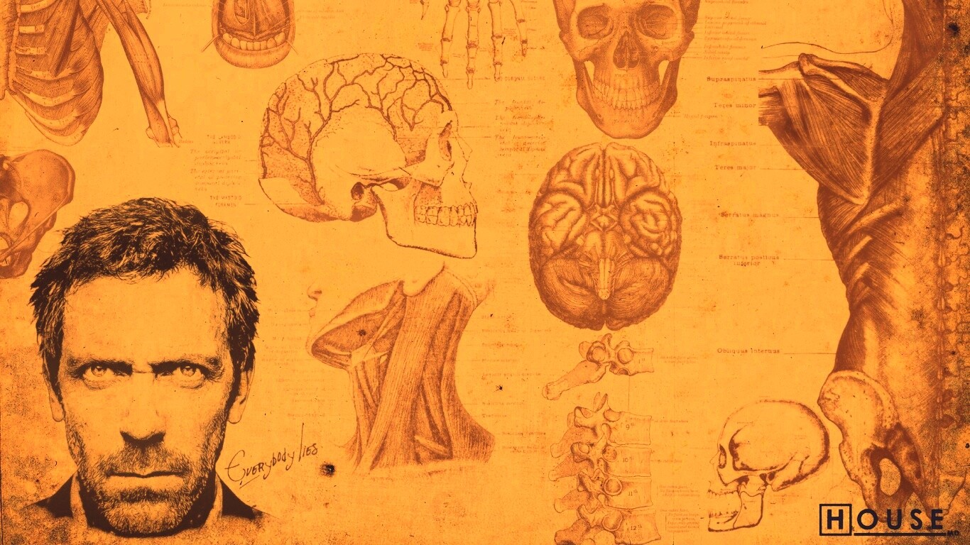 Анатомические рисунки доктора Хауса обои