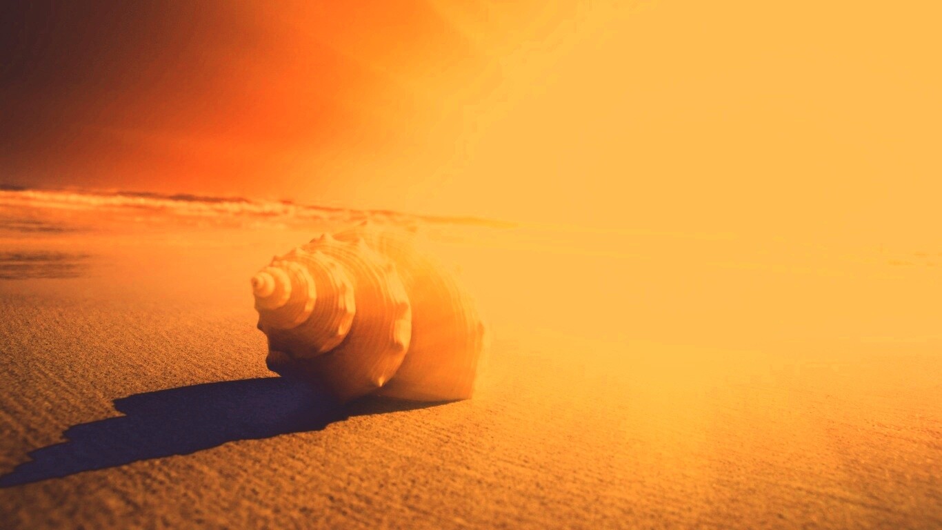 Золотистая ракушка обои