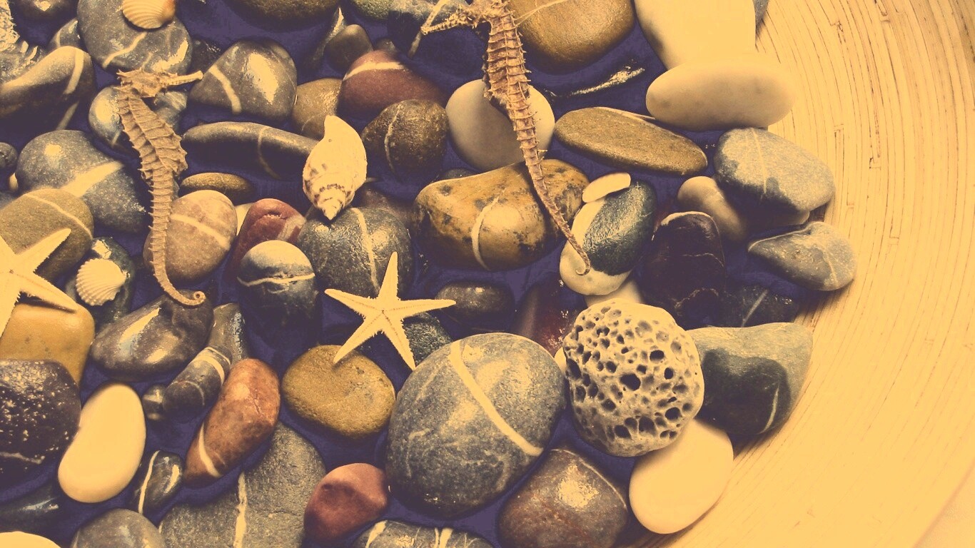 Морские камешки и фауна обои