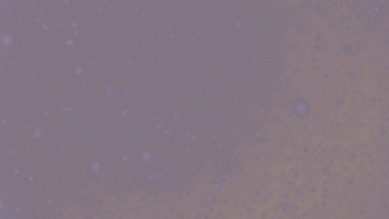 Черные пятна на сером фоне обои