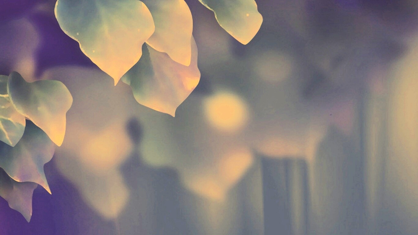 Синие листья обои