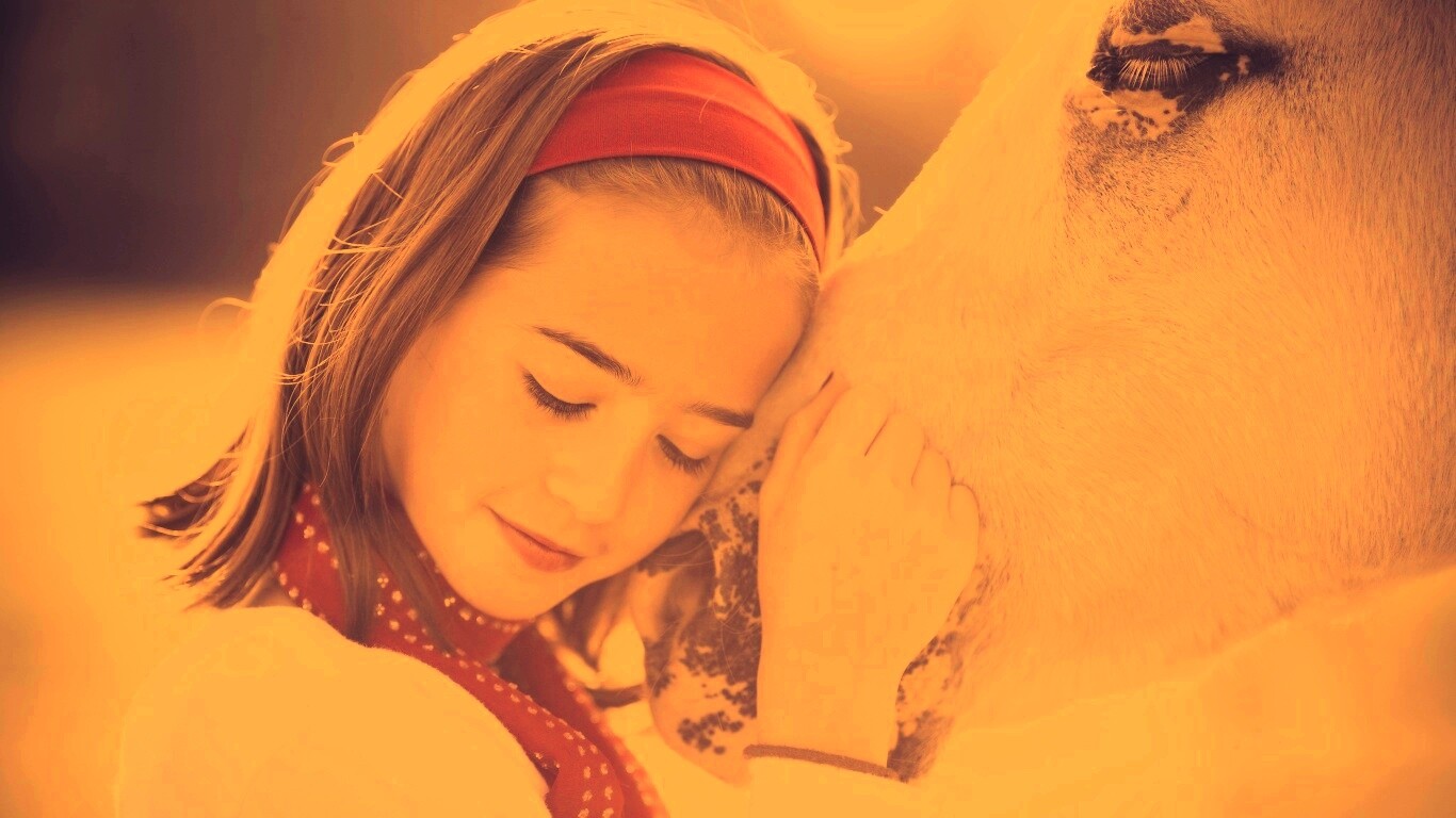 Девочка и лошадь обои