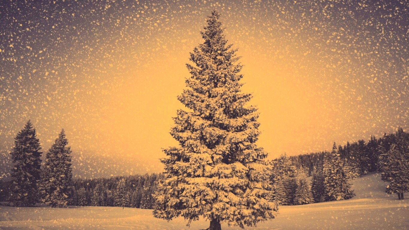 Ель в снегопад обои