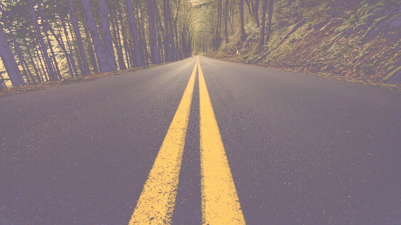 Дорога в лесу обои