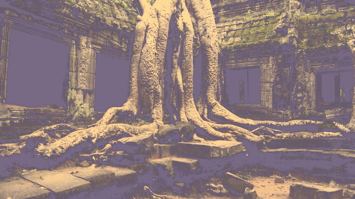 Мощные корни обои