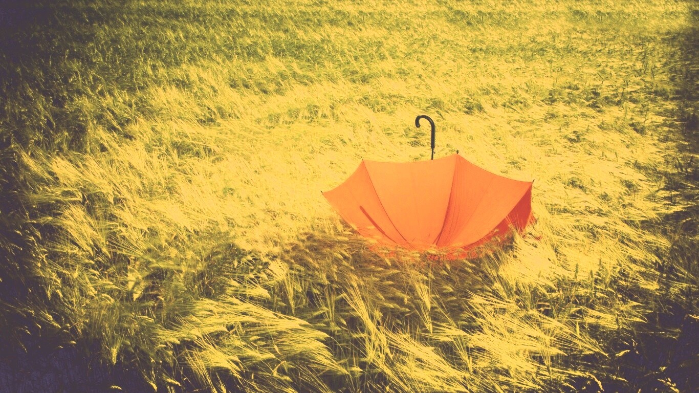 Зонт на траве обои