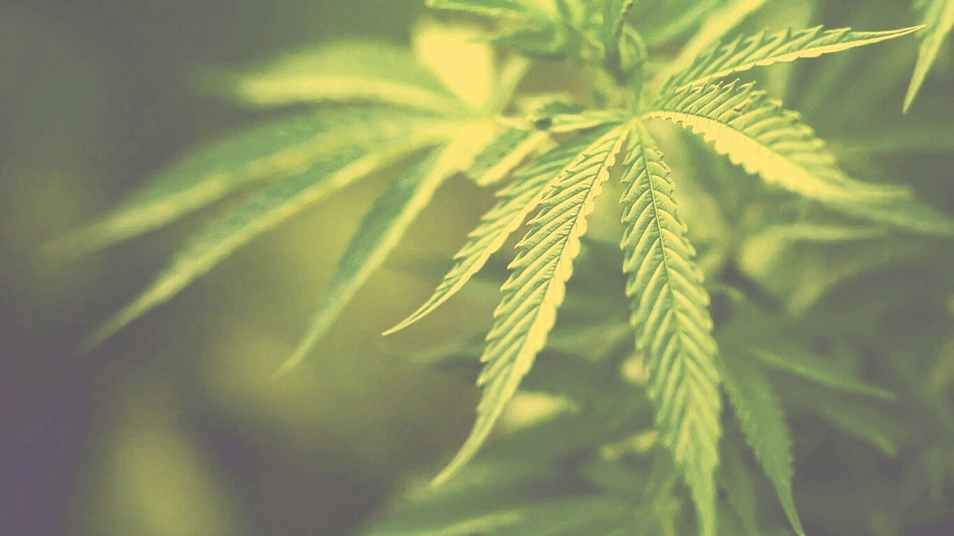 Марихуана обои